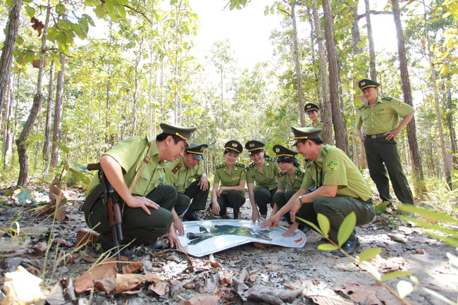 Ứng dụng công nghệ cao bảo vệ rừng Đắk Lắk